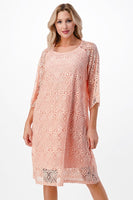 Blush  Shift Dress in Lace